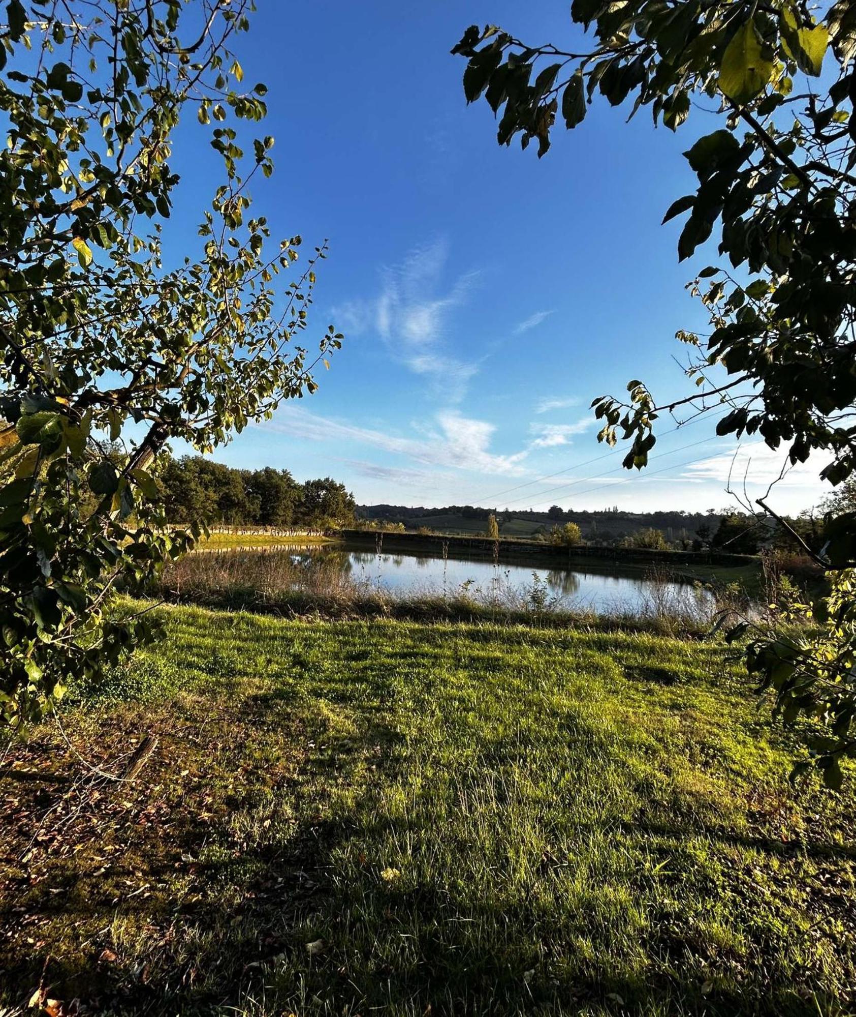 Gite La Garrigue Montbarla Экстерьер фото